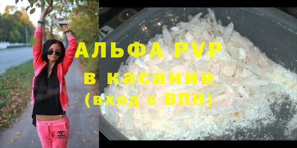 крисы Алексин